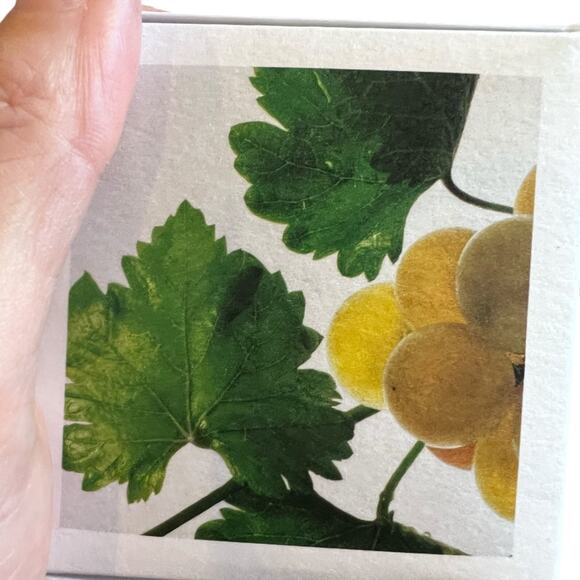 KORRES SANTORINI GRAPE PORELESS SKIN CREAM 1.35 oz. - New In Box - Picture 4 of 5